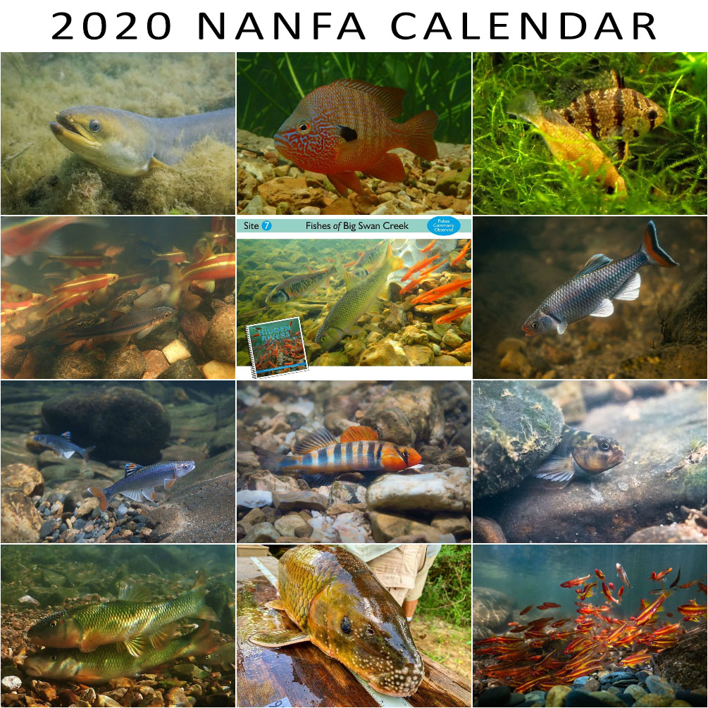 2020%20NANFA%20Calendar%20images.jpg