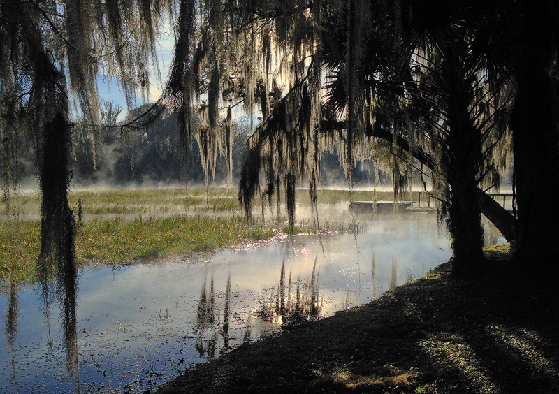 Rainbow%20River%20back%20yard.jpg